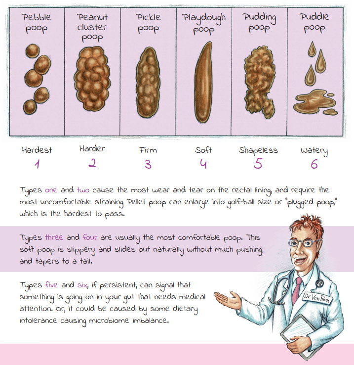 poop chart preview